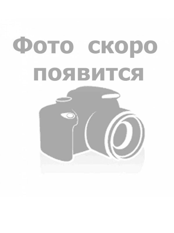 Литвинова Анна Константиновна.